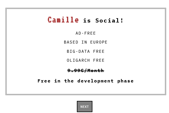 Another screenshot of the Camille app interface