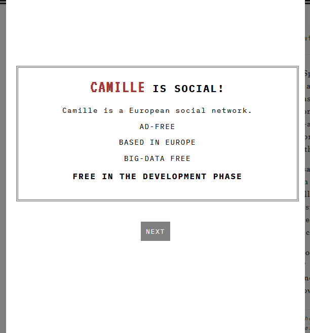Another screenshot of the Camille app interface